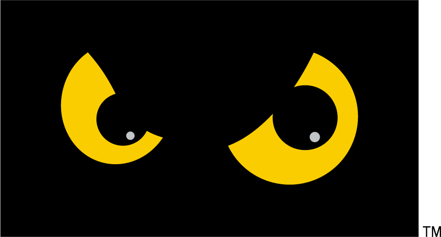 Temple Owls 1996-2020 Alternate Logo v2 diy iron on heat transfer